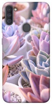 Чохол itsPrint Ехеверія 2 для Samsung Galaxy A11 152408 фото