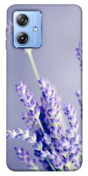 Чохол itsPrint Лаванда для Motorola Moto G84 642185 фото