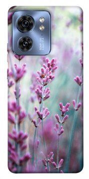 Чохол itsPrint Лаванда 2 для Motorola Edge 40 623209 фото