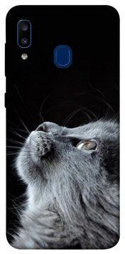 Чохол itsPrint Cute cat для Samsung Galaxy A20 | A30 352740 фото
