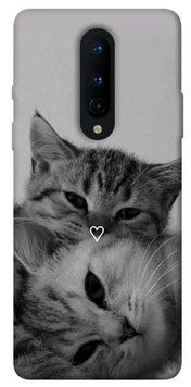 Чохол itsPrint Grey cats для OnePlus 8 987037 фото