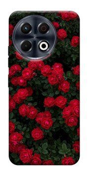 Чохол itsPrint Eternal roses для TECNO Spark 30 Pro (KL7) 914889 фото