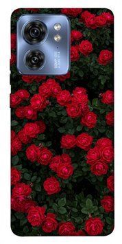 Чохол itsPrint Eternal roses для Motorola Edge 40 794933 фото